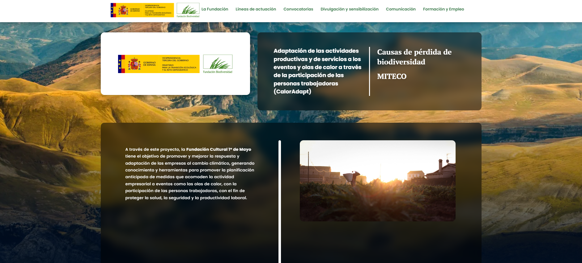 Adaptación de las actividades productivas y de servicios a los eventos y olas de calor a través de la participación de las personas trabajadoras (CalorAdapt)