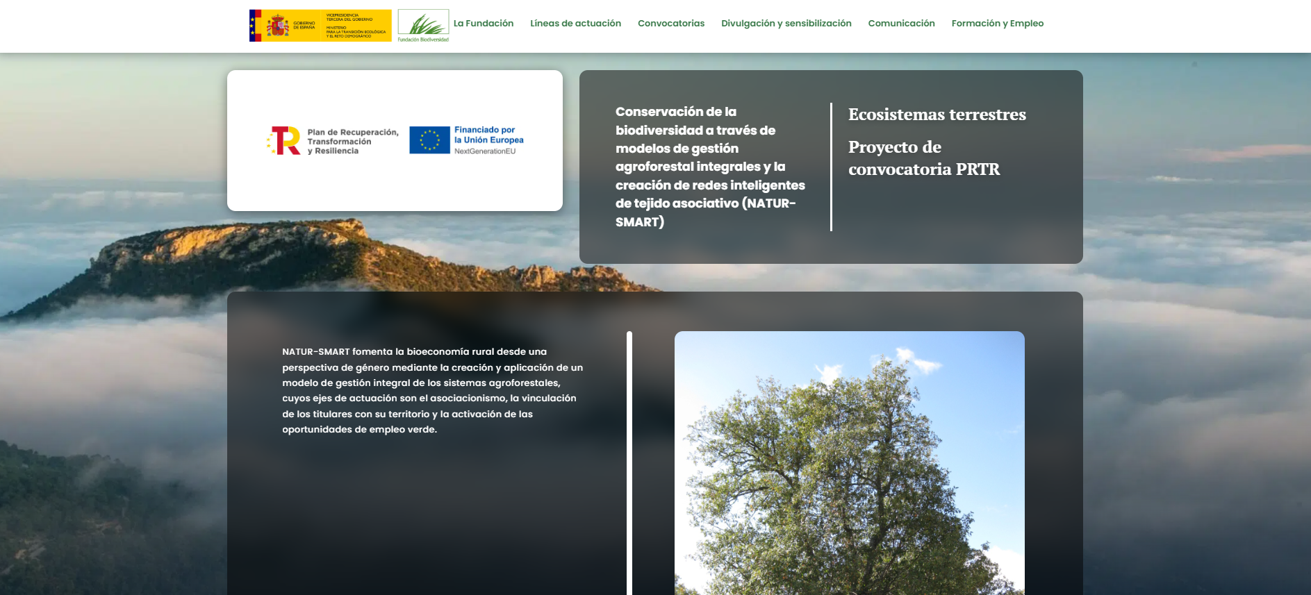 Conservación de la biodiversidad a través de modelos de gestión agroforestal integrales y la creación de redes inteligentes de tejido asociativo (NATUR-SMART)