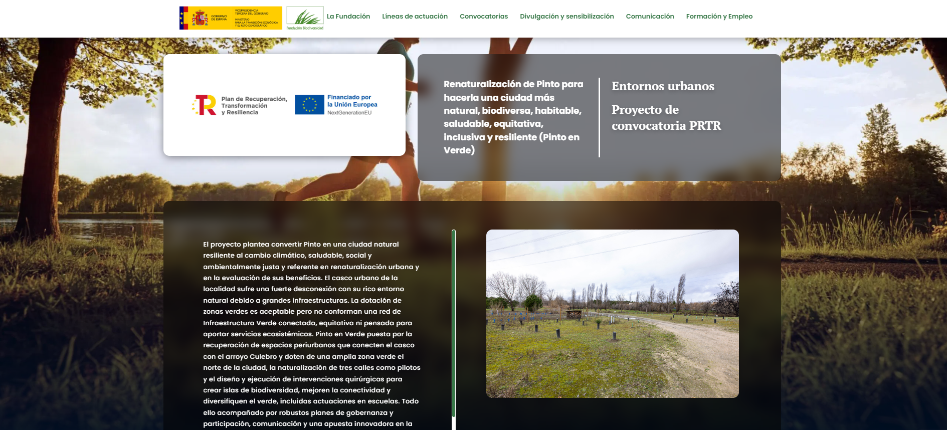 Renaturalización de Pinto para hacerla una ciudad más natural, biodiversa, habitable, saludable, equitativa, inclusiva y resiliente (Pinto en Verde)