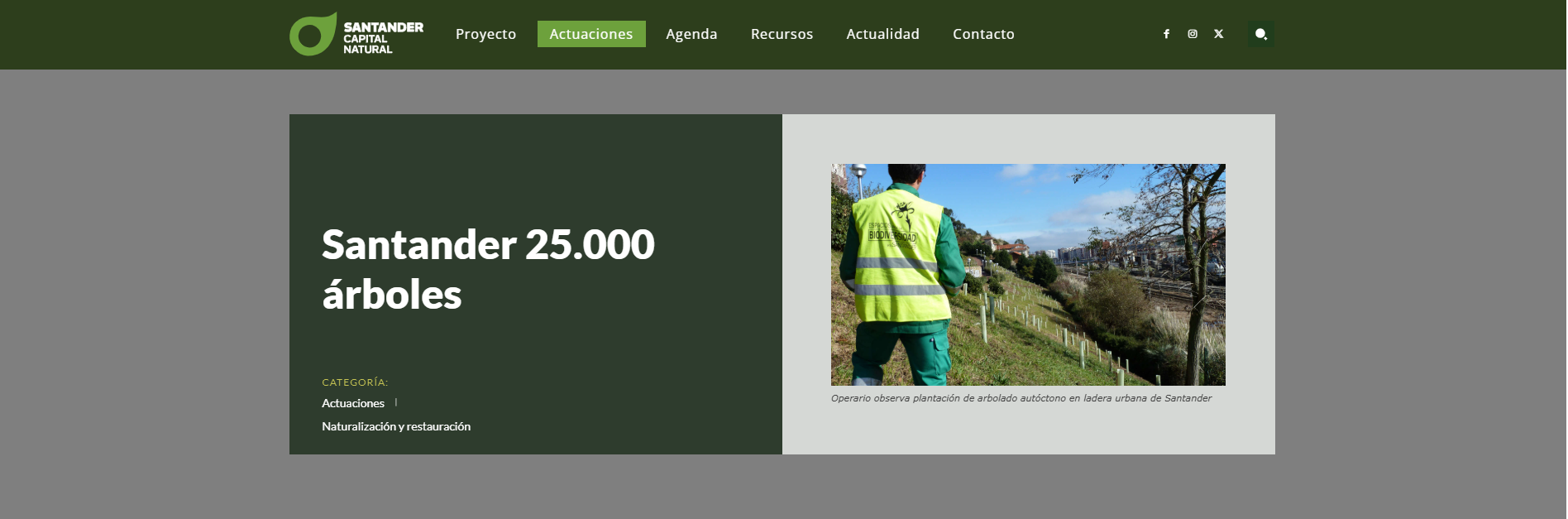 Santander 25.000 árboles