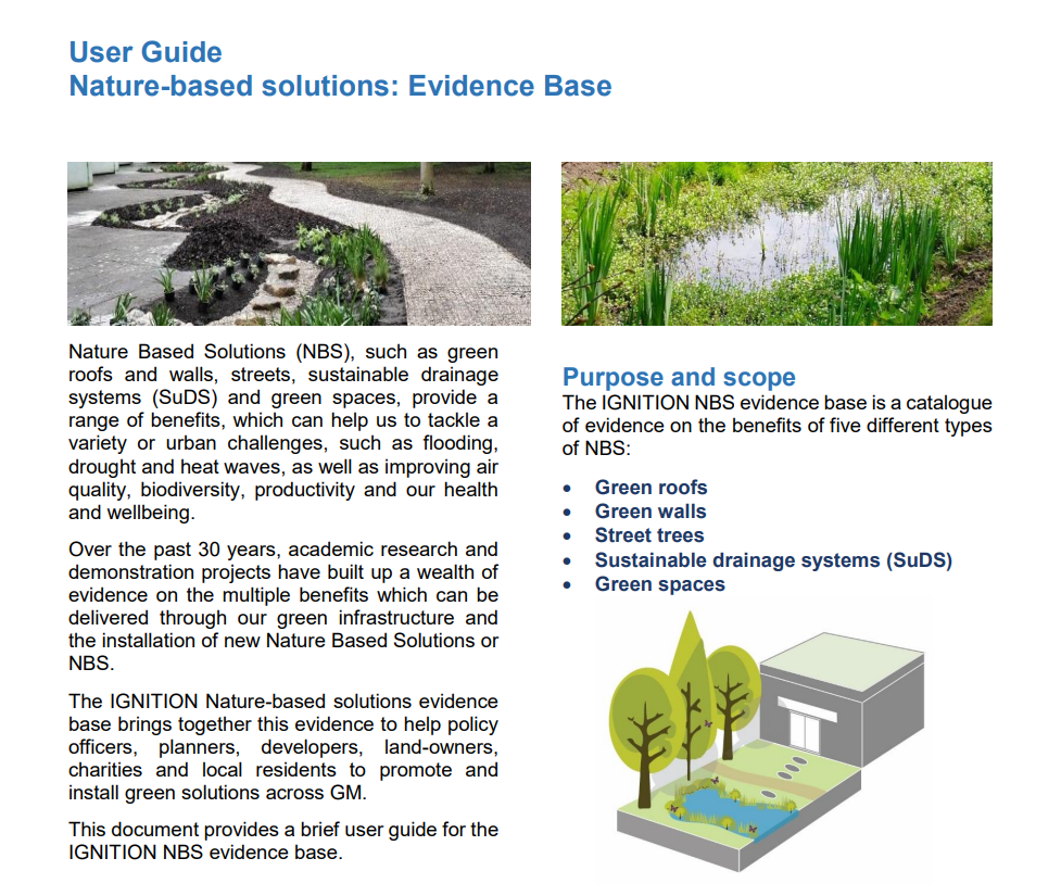 The IGNITION Project