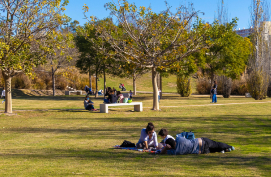 Parque Urbano Inundable 'La Marjal'