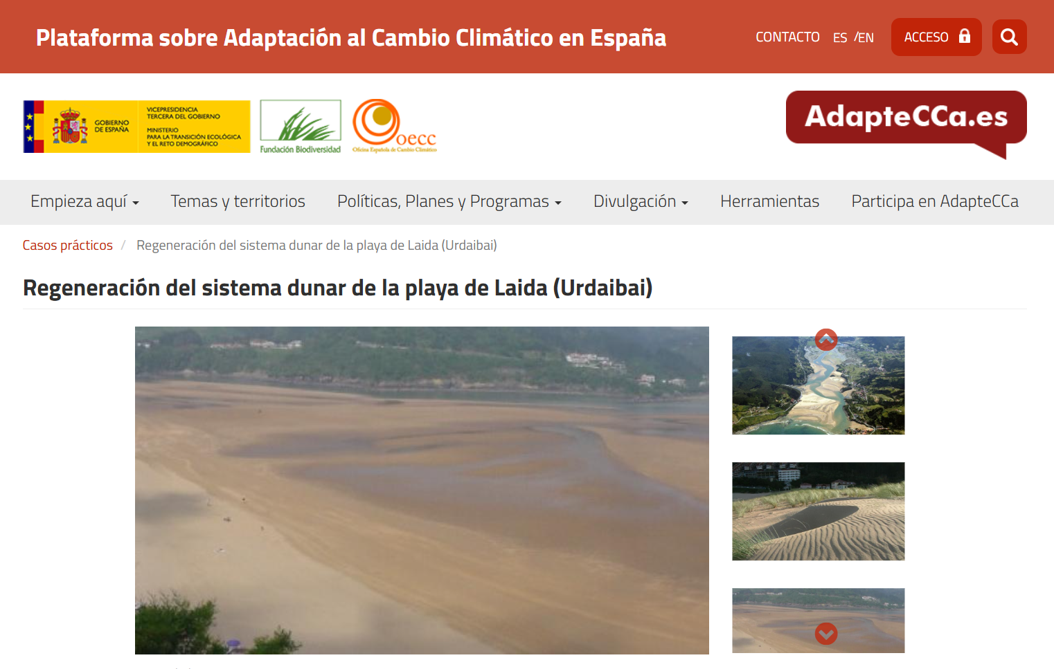 Regeneración del sistema dunar de la playa de Laida (Urdaibai)