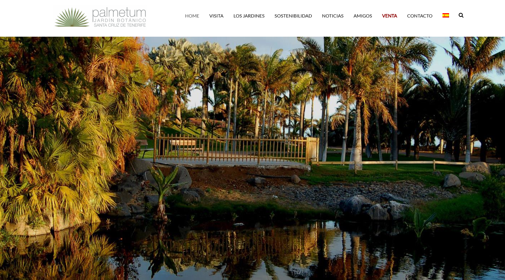 Palmetum de Santa Cruz de Tenerife