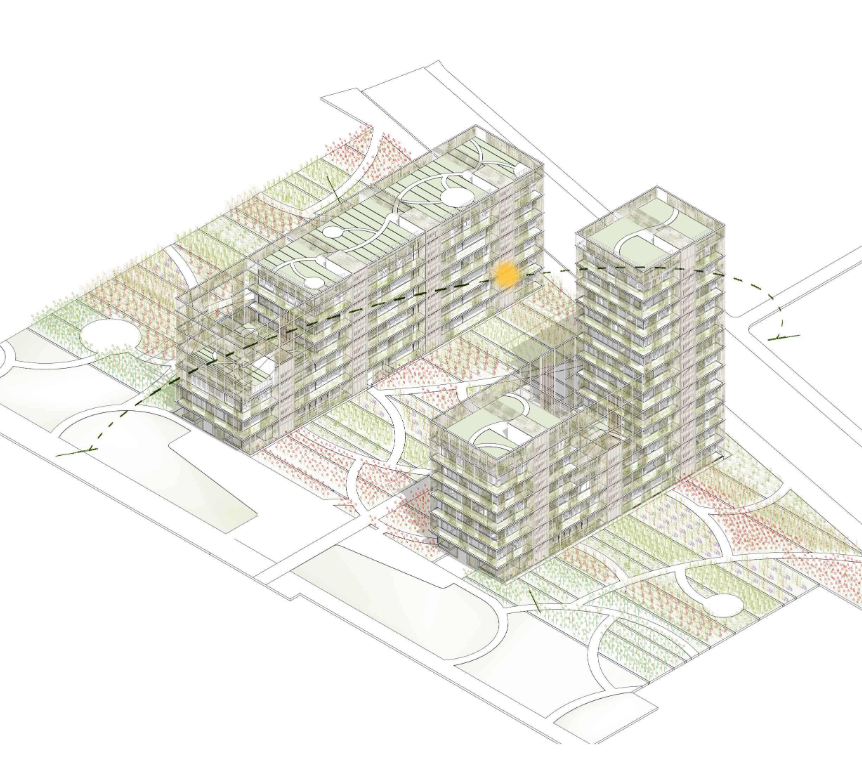 Ayllon paradela de Andres