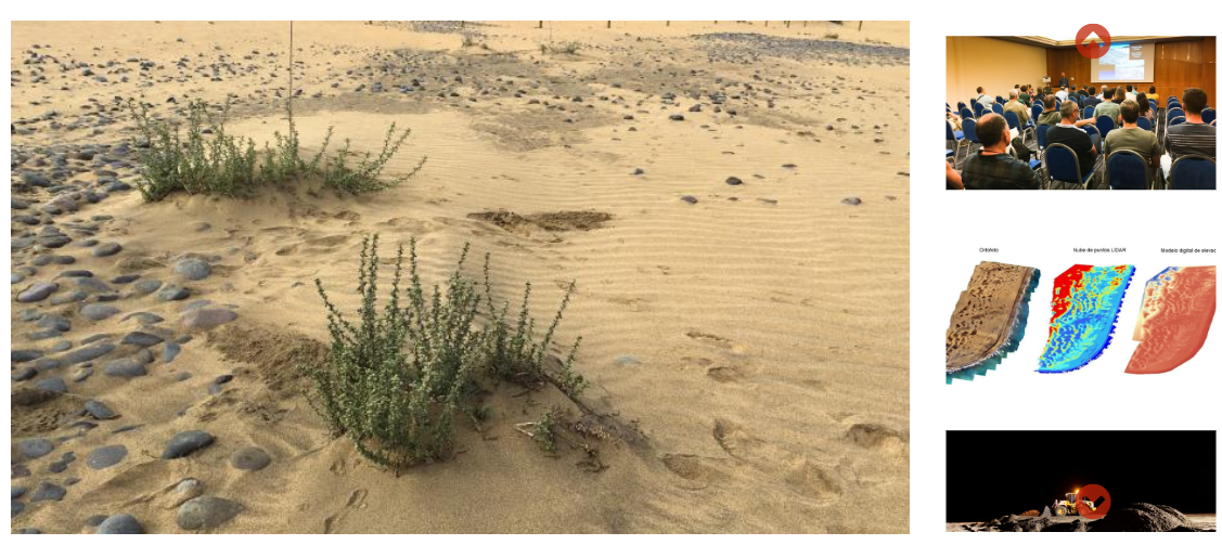 Proyecto MASDUNAS. restauración del sistema dunar de Maspalomas