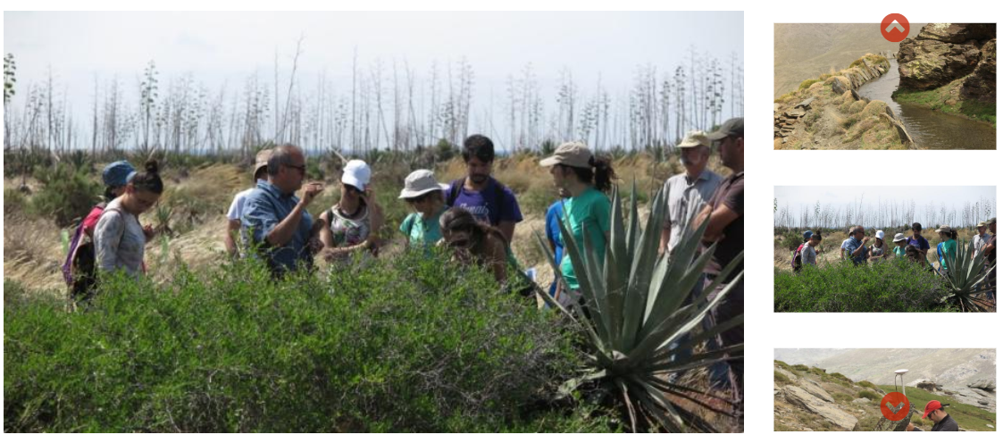 Protección de servicios ecosistémicos clave amenazados por el cambio climático mediante gestión adaptativa de socioecosistemas mediterráneos (LIFE Adaptamed)