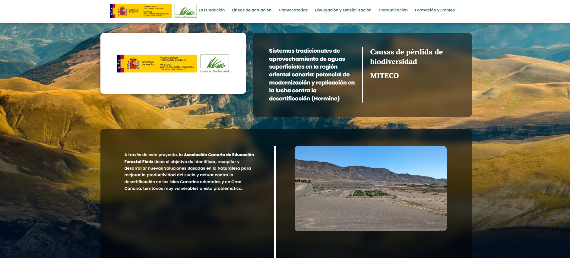 Sistemas tradicionales de aprovechamiento de aguas superficiales en la región oriental canaria: potencial de modernización y replicación en la lucha contra la desertificación (Hermine)