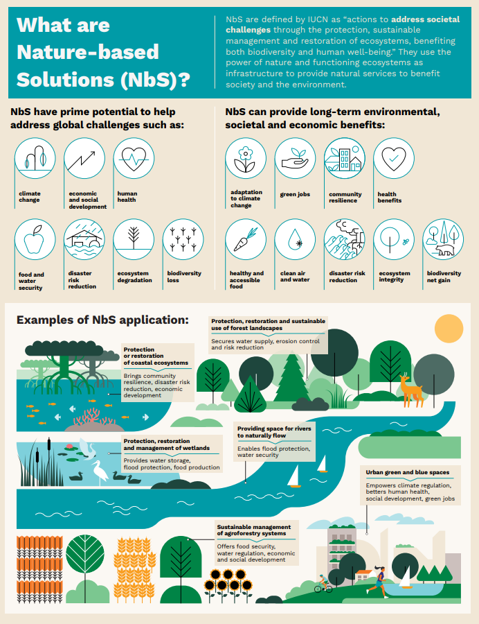 ¿Qué son las soluciones basadas en la naturaleza?